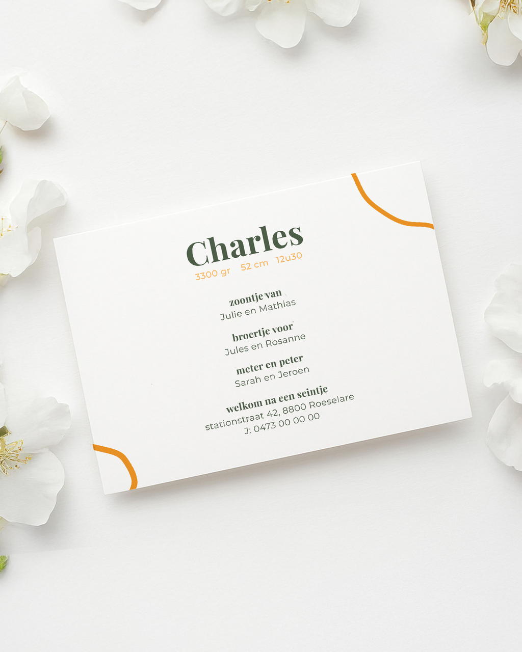 Geboortekaartje  Canva  bundel – Charles