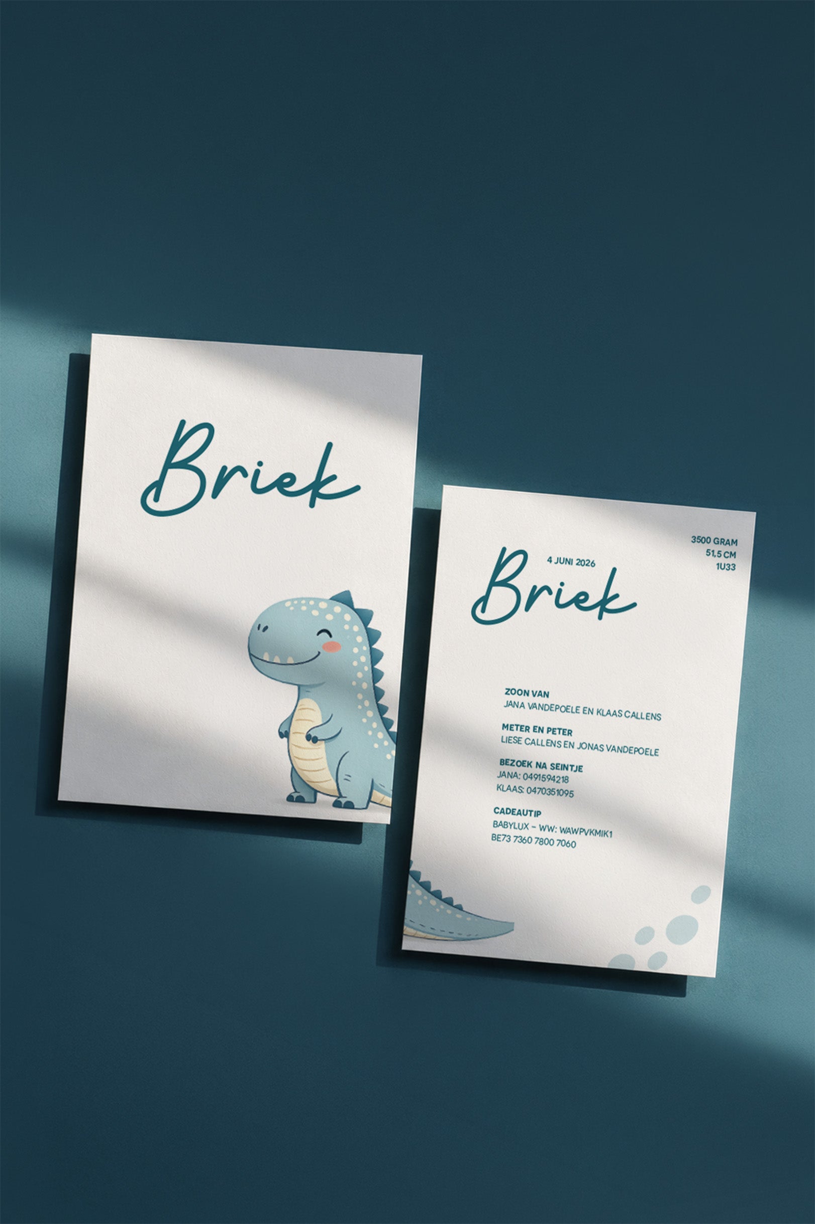 Geboortekaartje op maat met illustratie van Dino