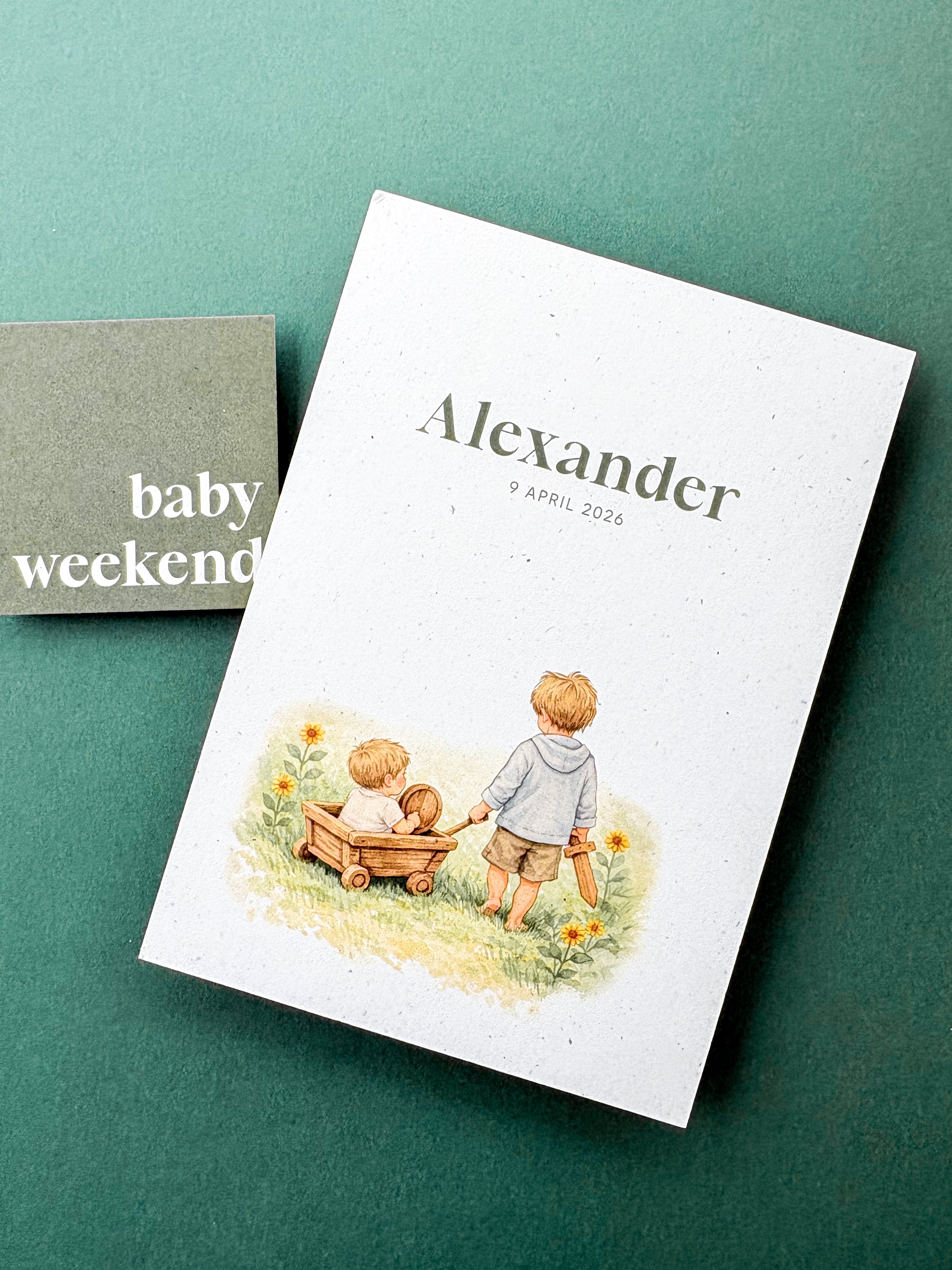Schattig geboortekaartje met illustratie broertjes