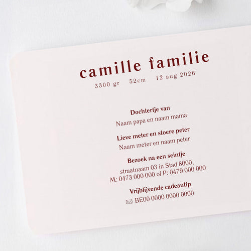 Minimalistisch kaartje achterkant tekst geboorte