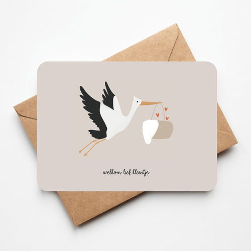 Schattig kaartje voor geboorte van een baby met tekening van ooievaar die baby in mandje draagt