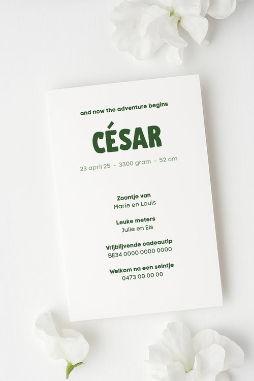 Achterkant tekst voor geboortekaartje