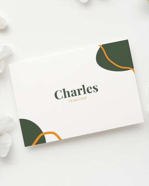 Geboortekaartje dat je zelf kan aanpassen