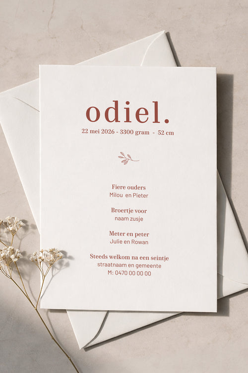 Canva geboortekaart template -  Odiel takje