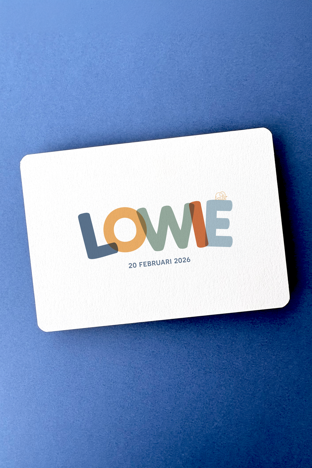 Voorbeeld Lowie - niet te koop